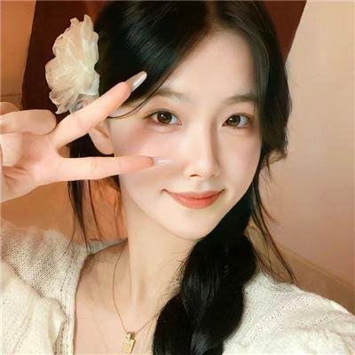 黑狐：阿道夫·希特勒的兴衰